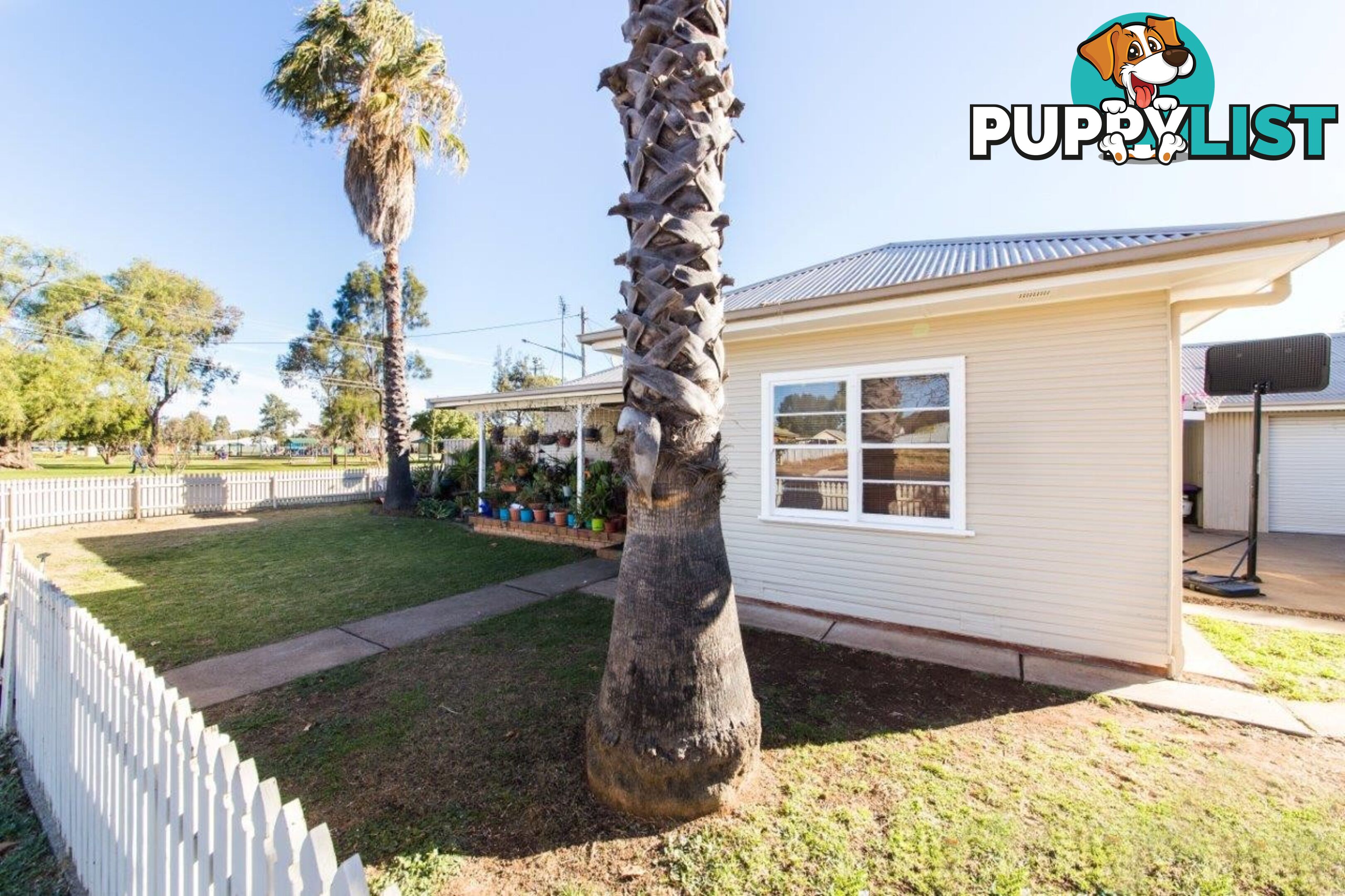 3 Healey St DUBBO NSW 2830