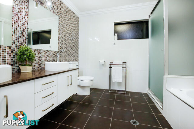 21 Balmoral Drive CASTLE HILL QLD 4810