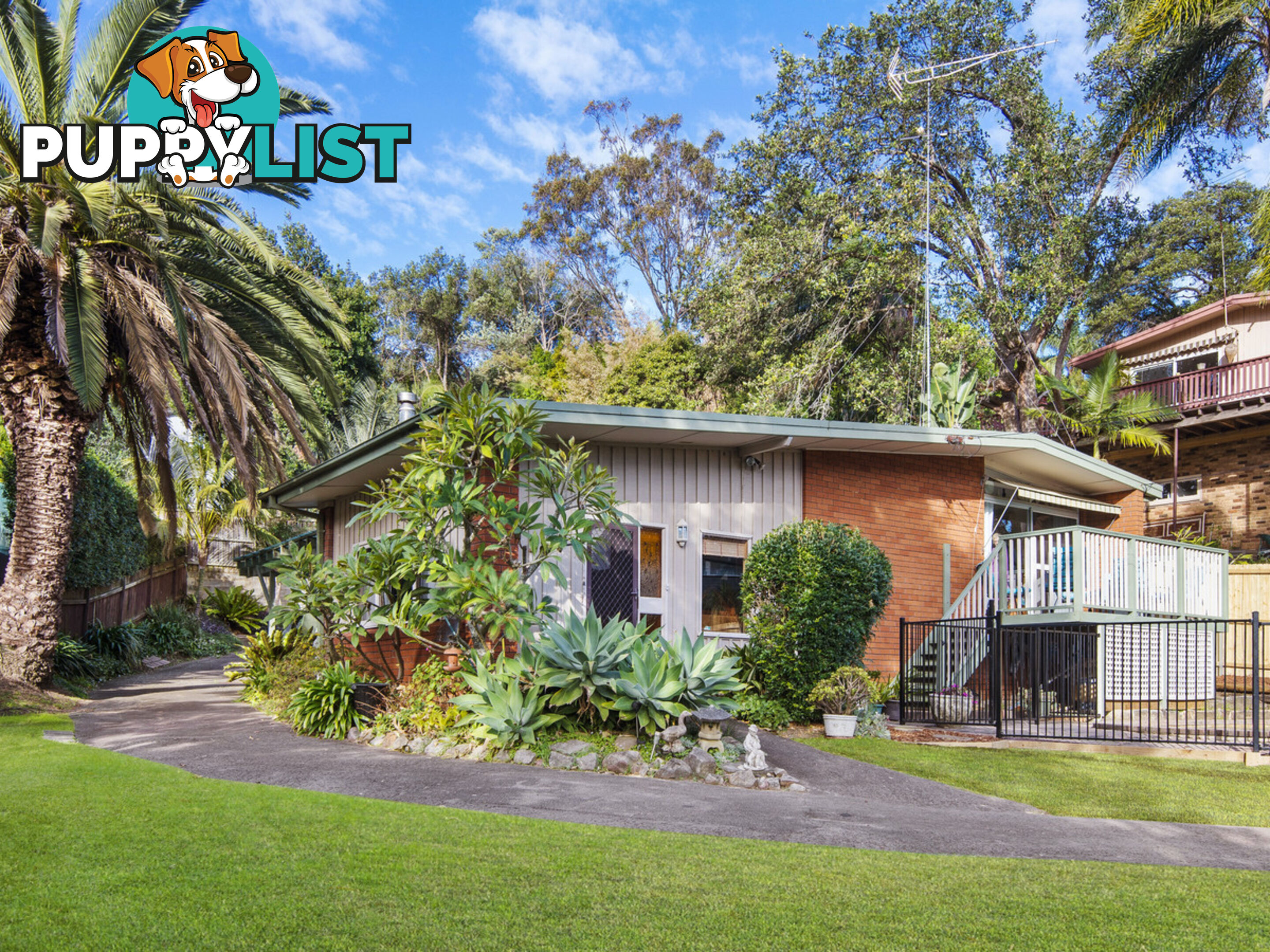 17 Suncrest Avenue NEWPORT NSW 2106