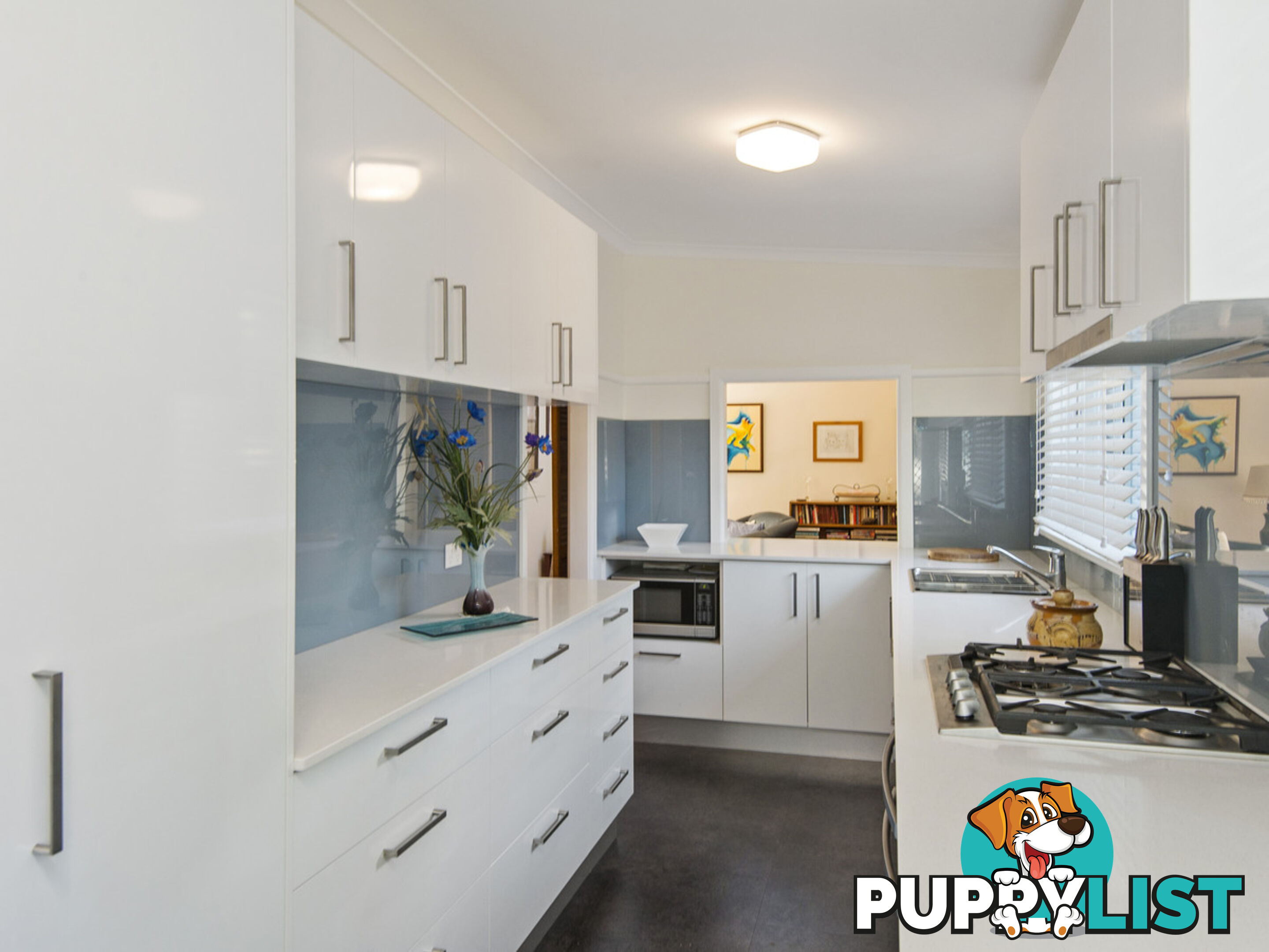 17 Suncrest Avenue NEWPORT NSW 2106