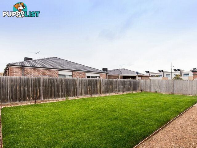 11 Bushlark Crescent WILLIAMS LANDING VIC 3027