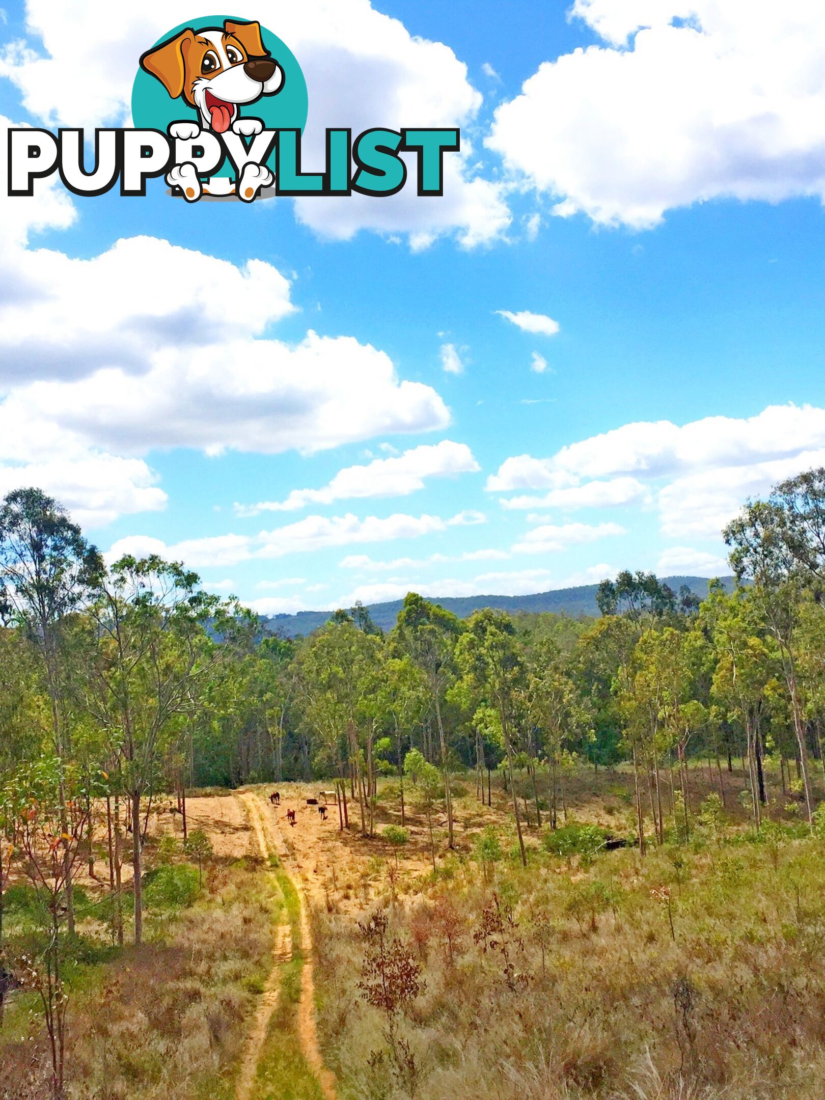 Lot PINNACLE RISE ESTATE/49-115 Green Gully Road UPPER LOCKYER QLD 4352