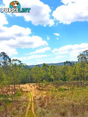 Lot PINNACLE RISE ESTATE/49-115 Green Gully Road UPPER LOCKYER QLD 4352