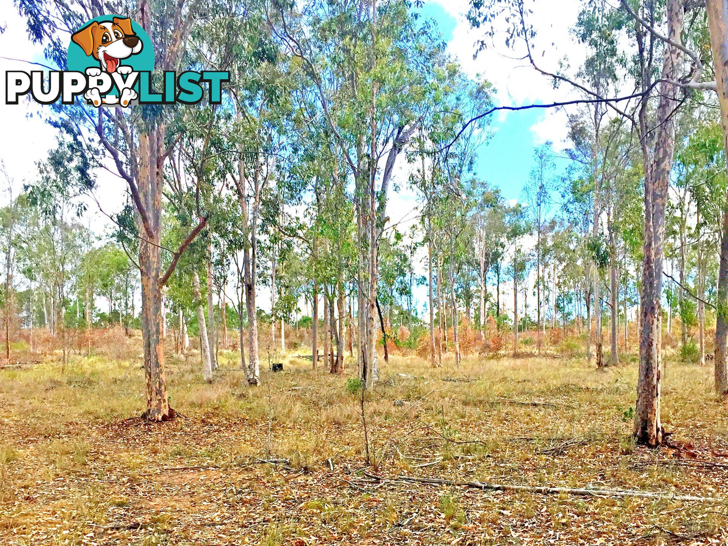 Lot PINNACLE RISE ESTATE/49-115 Green Gully Road UPPER LOCKYER QLD 4352