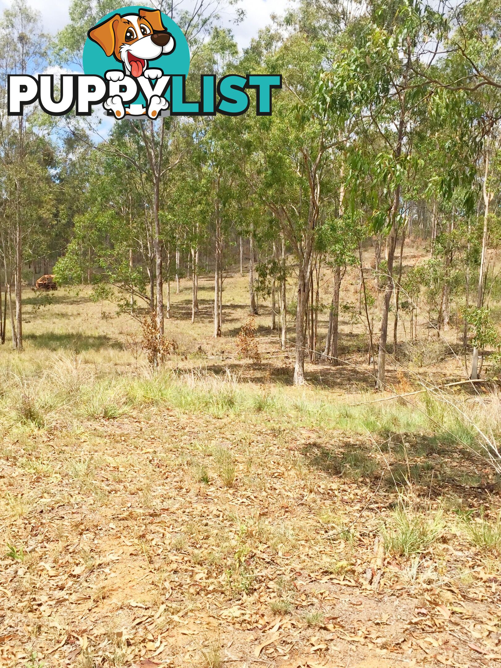 Lot PINNACLE RISE ESTATE/49-115 Green Gully Road UPPER LOCKYER QLD 4352