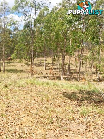 Lot PINNACLE RISE ESTATE/49-115 Green Gully Road UPPER LOCKYER QLD 4352