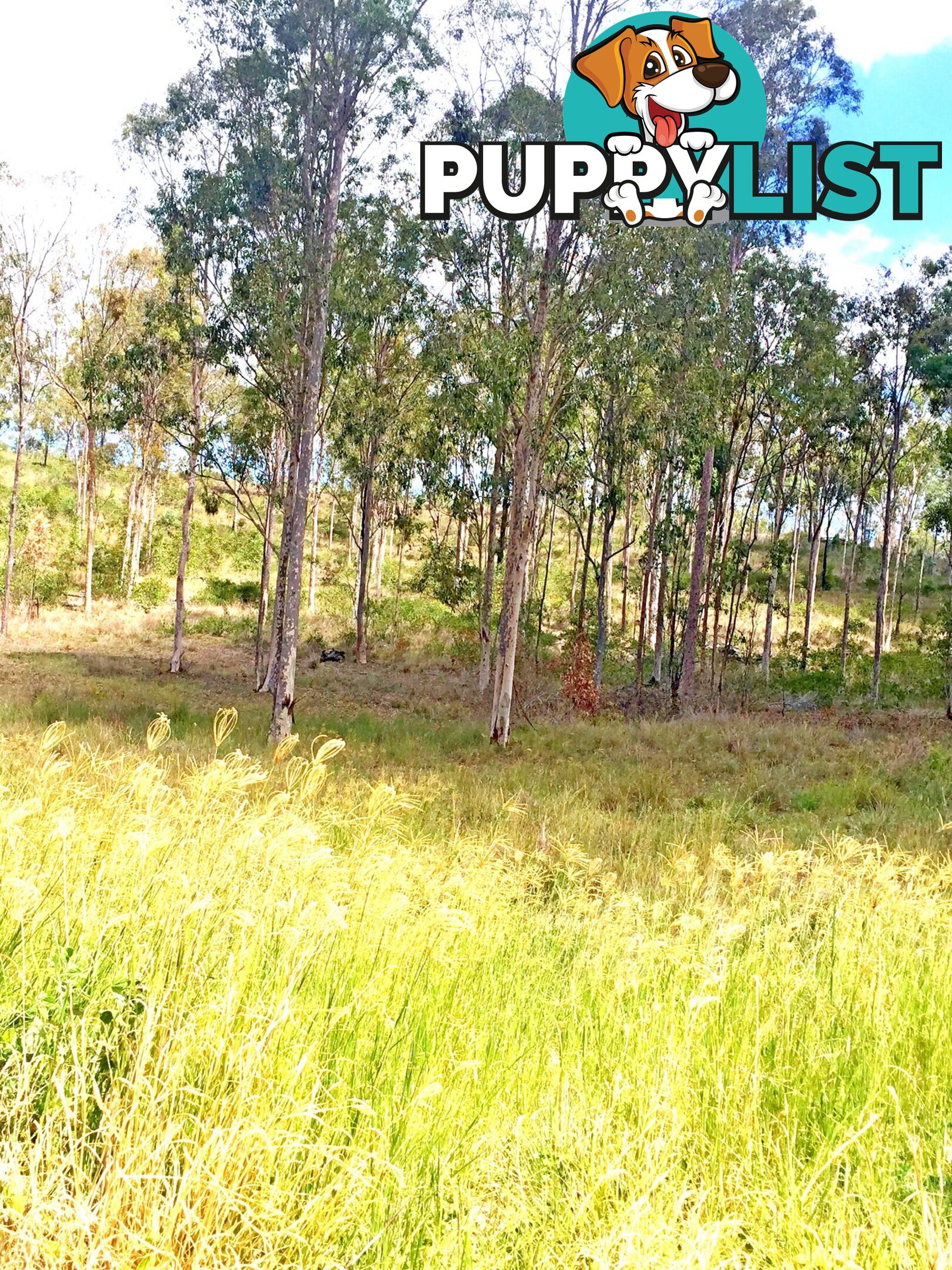 Lot PINNACLE RISE ESTATE/49-115 Green Gully Road UPPER LOCKYER QLD 4352