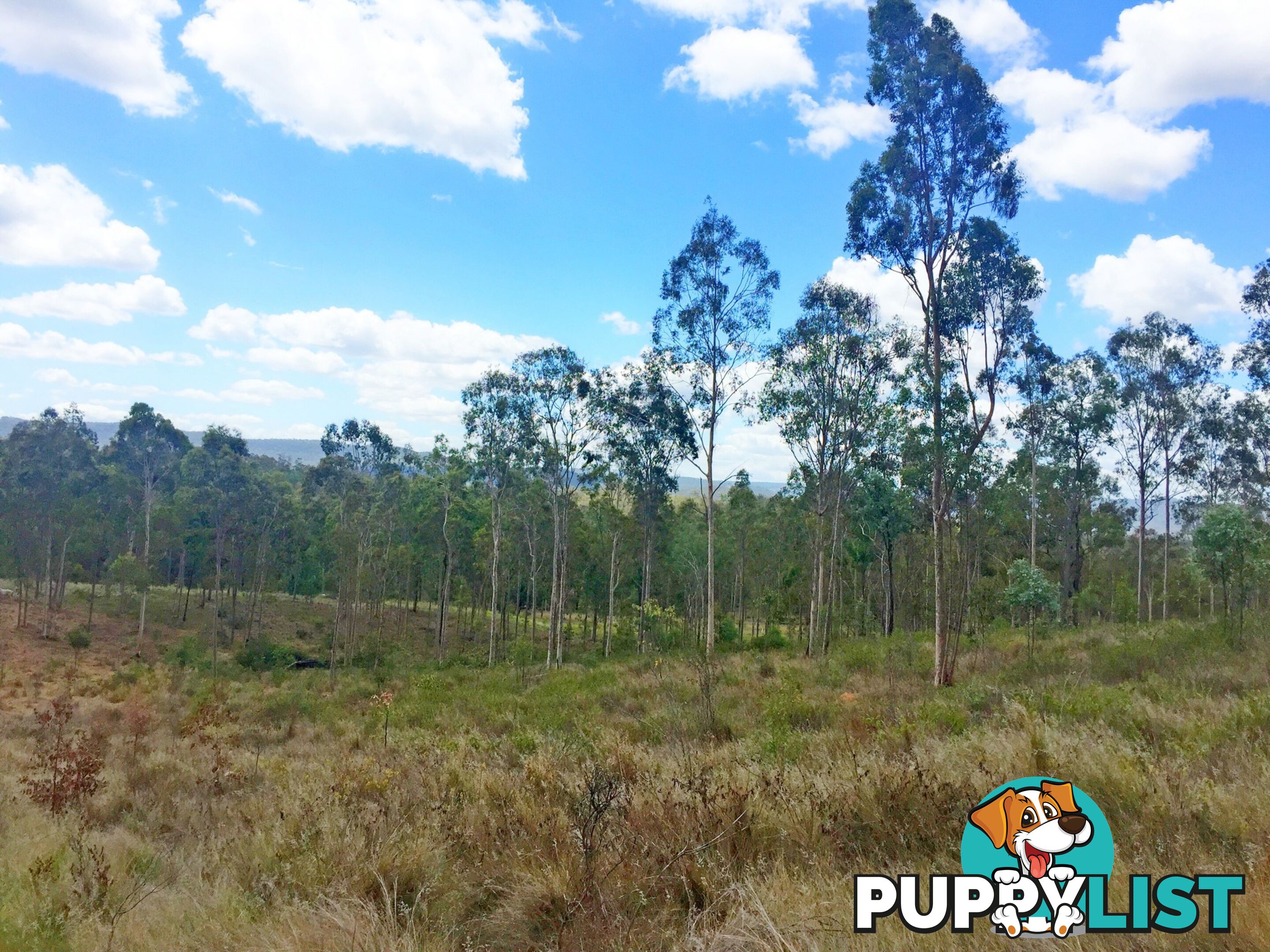 Lot PINNACLE RISE ESTATE/49-115 Green Gully Road UPPER LOCKYER QLD 4352