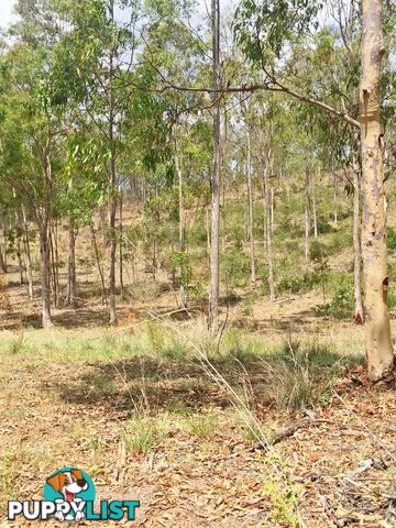 Lot PINNACLE RISE ESTATE/49-115 Green Gully Road UPPER LOCKYER QLD 4352