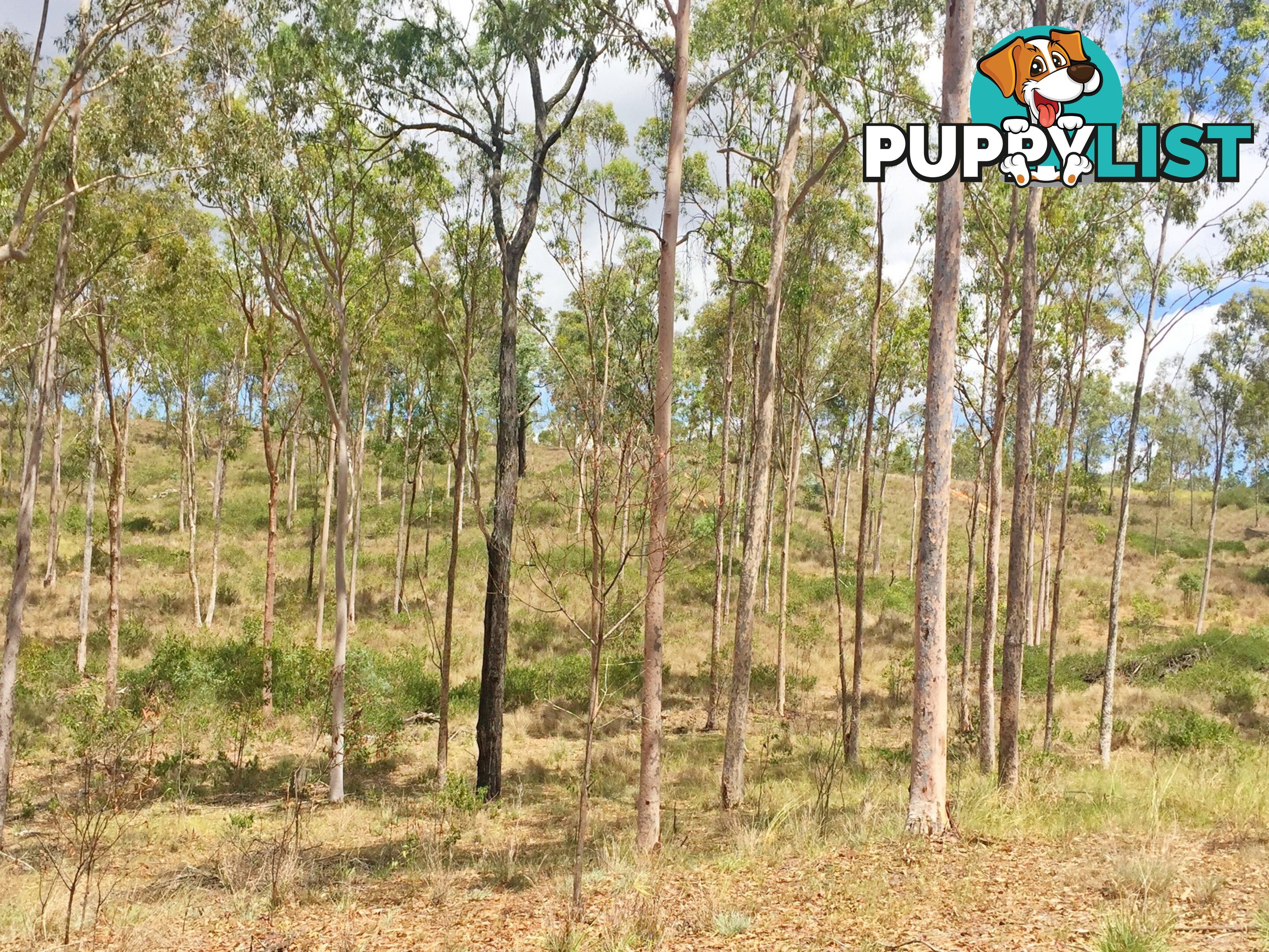 Lot PINNACLE RISE ESTATE/49-115 Green Gully Road UPPER LOCKYER QLD 4352