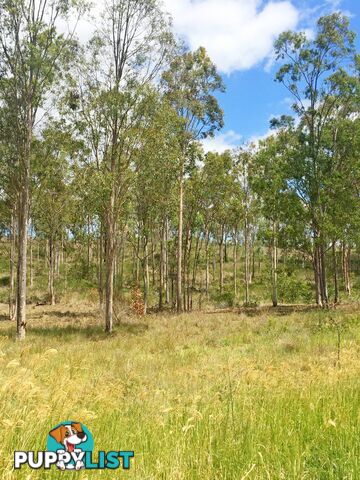 Lot PINNACLE RISE ESTATE/49-115 Green Gully Road UPPER LOCKYER QLD 4352