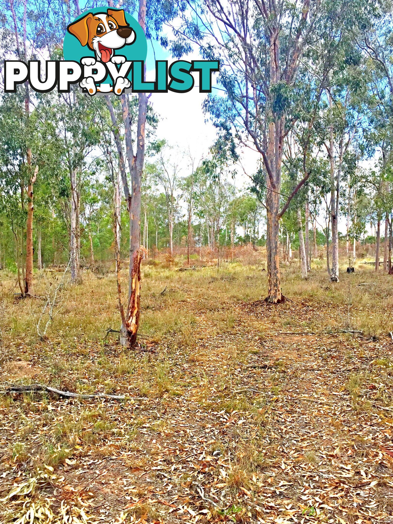 Lot PINNACLE RISE ESTATE/49-115 Green Gully Road UPPER LOCKYER QLD 4352