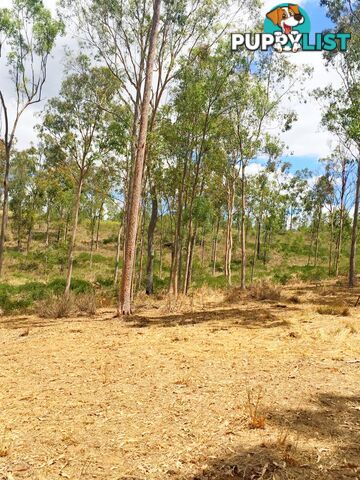 Lot PINNACLE RISE ESTATE/49-115 Green Gully Road UPPER LOCKYER QLD 4352