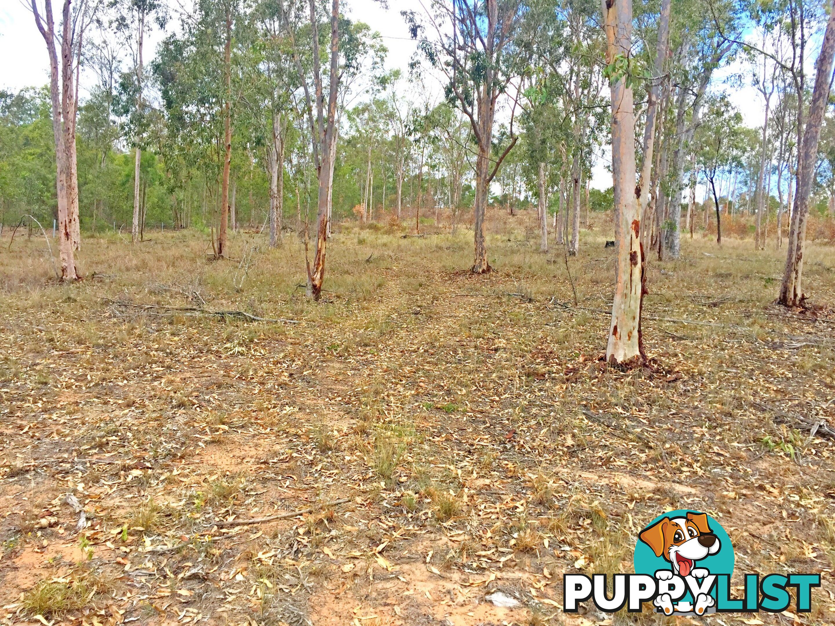 Lot PINNACLE RISE ESTATE/49-115 Green Gully Road UPPER LOCKYER QLD 4352