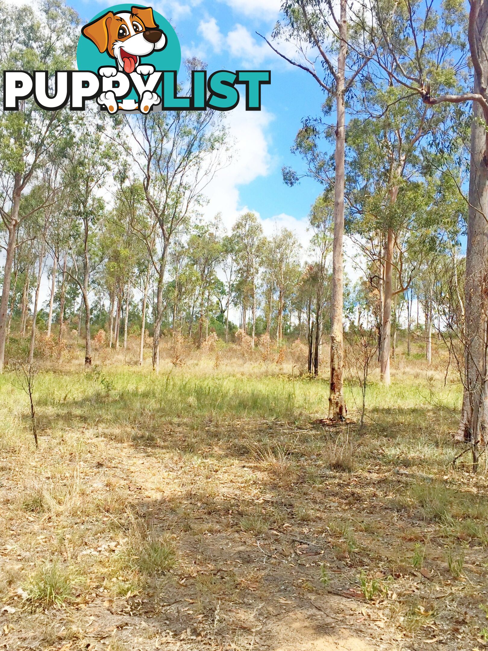 Lot PINNACLE RISE ESTATE/49-115 Green Gully Road UPPER LOCKYER QLD 4352