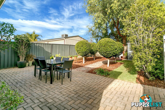 7 Berryman Street GREENACRES SA 5086