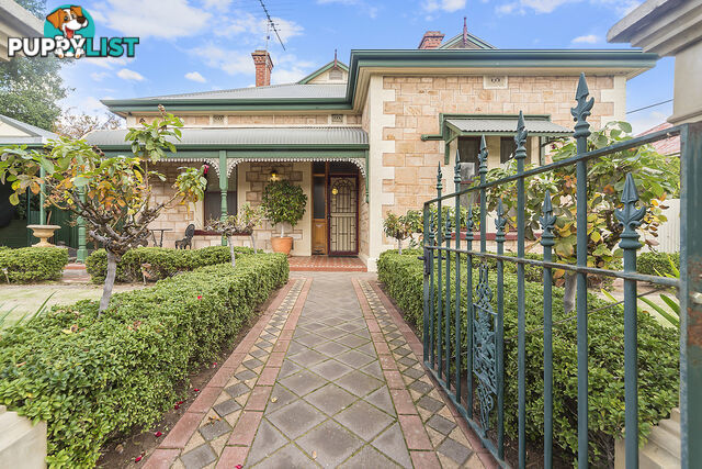 20 Jacob Street GAWLER SA 5118