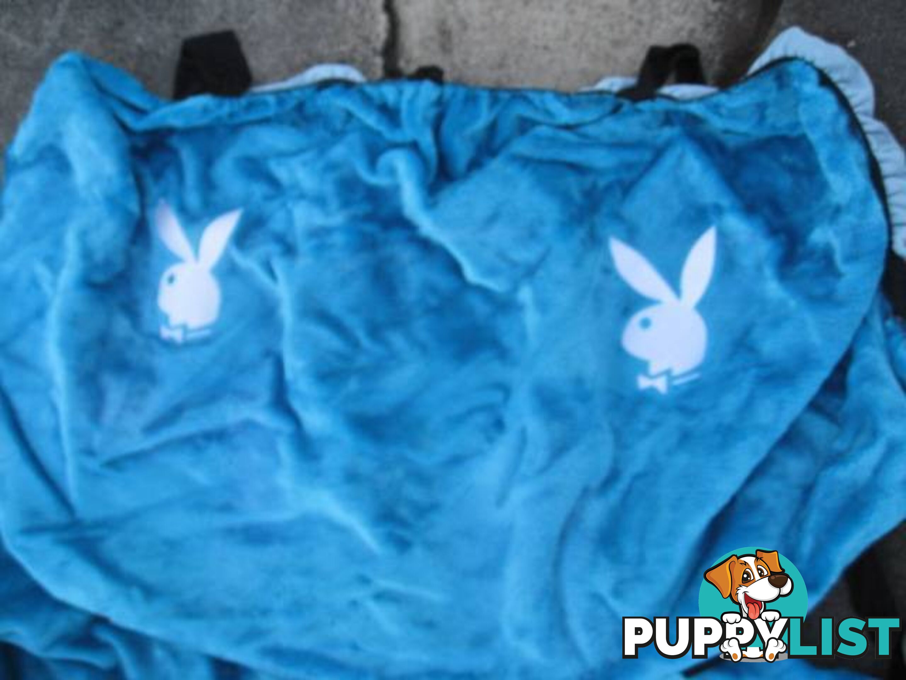 BLUE PLAYBOY SEAT COVERS FRONT AND REAR