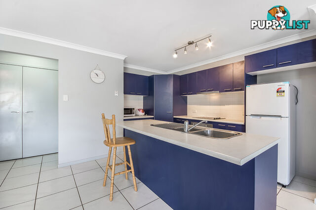 13 Coastal Avenue Beerwah QLD 4519