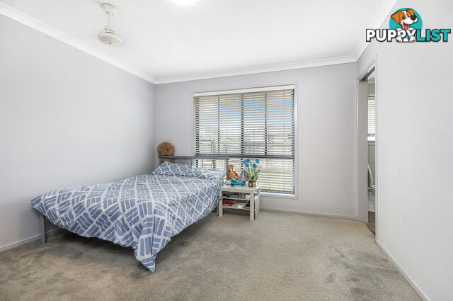 13 Coastal Avenue Beerwah QLD 4519