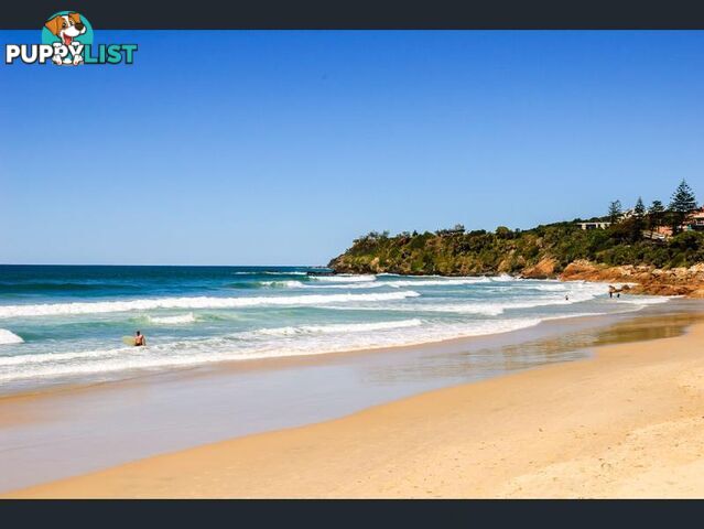 Caprice 47/1770 David Low Way Coolum Beach QLD 4573