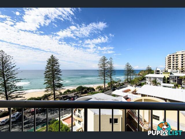 Caprice 47/1770 David Low Way Coolum Beach QLD 4573