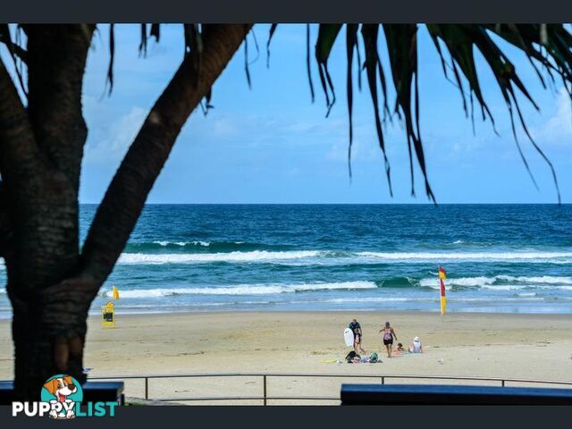 Caprice 47/1770 David Low Way Coolum Beach QLD 4573