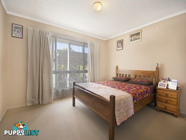 3/10 Quinn Court Mount Coolum QLD 4573