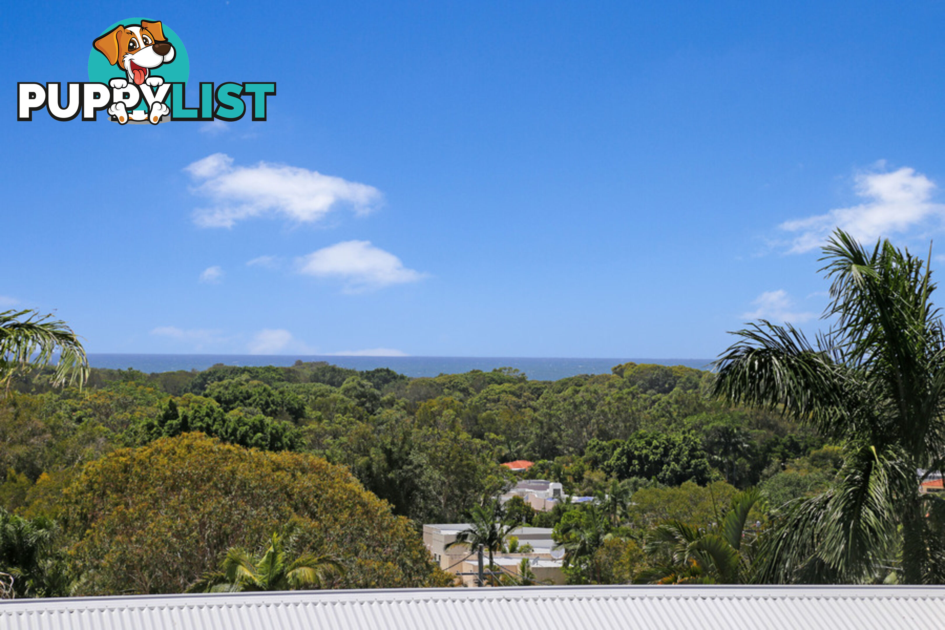 56 Warrack Street Mount Coolum QLD 4573