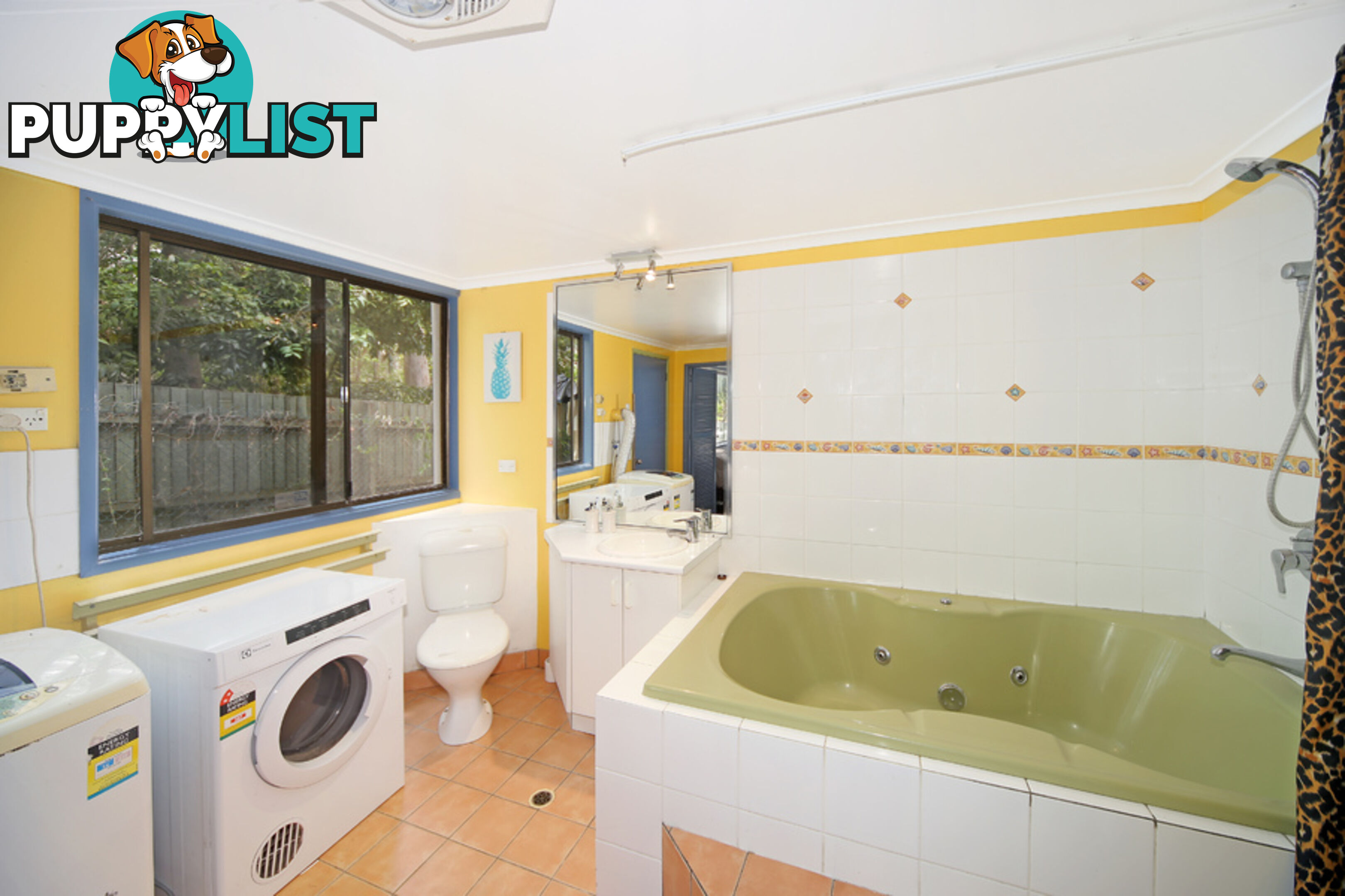 56 Warrack Street Mount Coolum QLD 4573