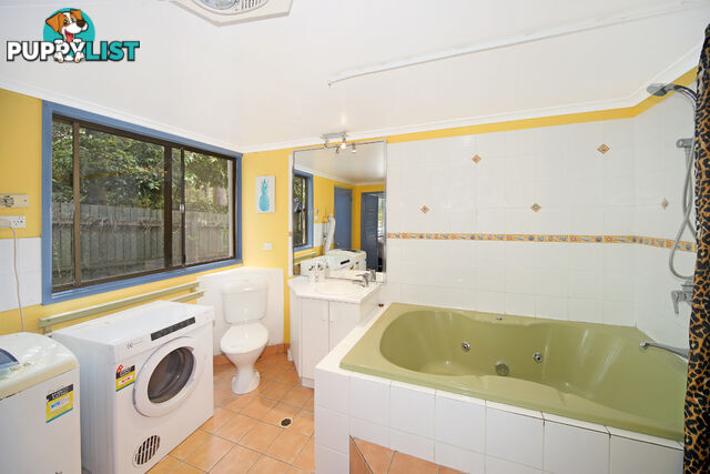 56 Warrack Street Mount Coolum QLD 4573