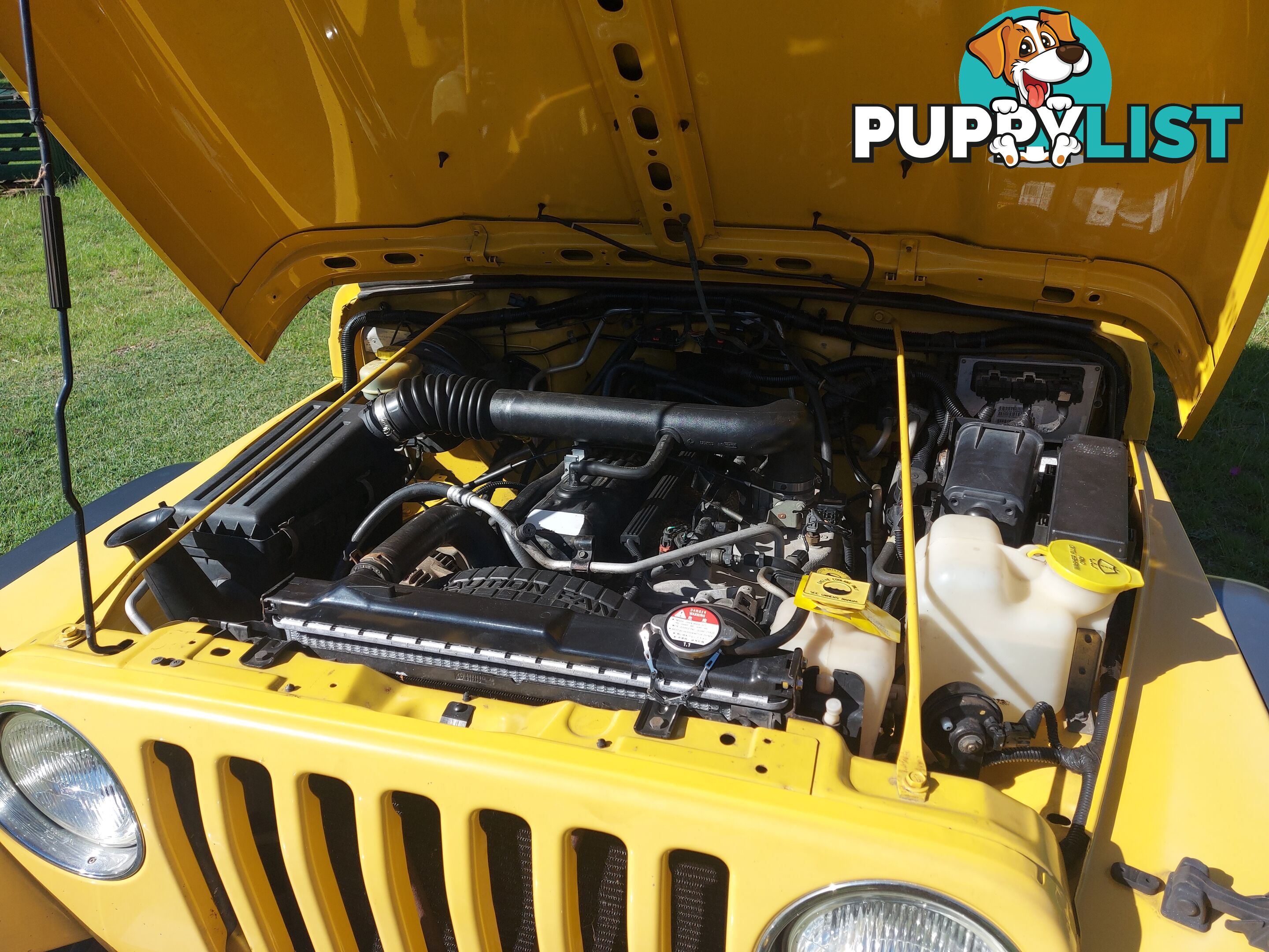 2001 Jeep Wrangler TJ SPORT SUV Manual