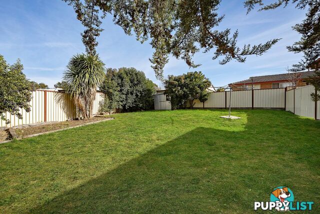 6 Saywell Place CHARNWOOD ACT 2615