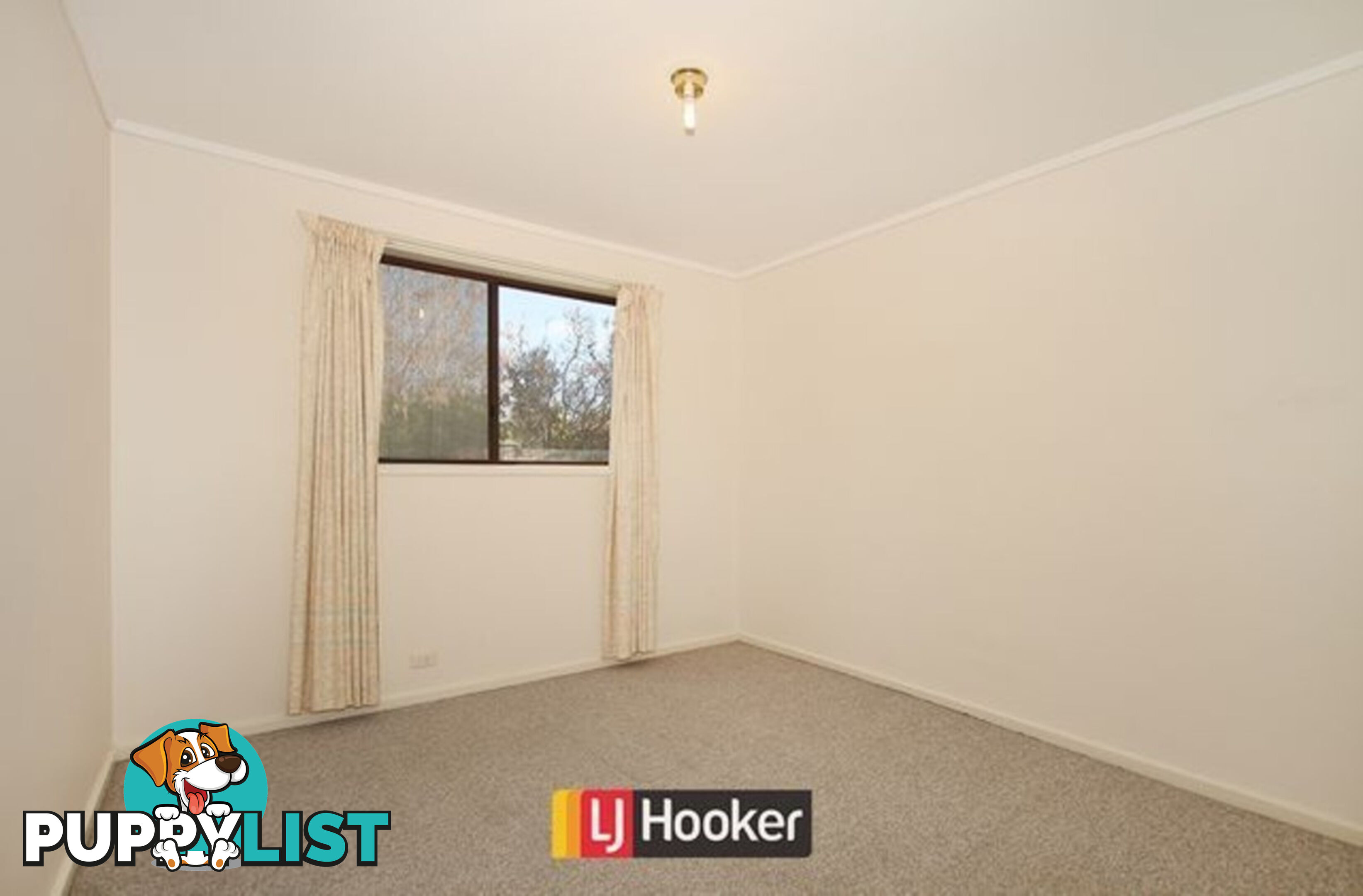 8 Weaver Place CHARNWOOD ACT 2615