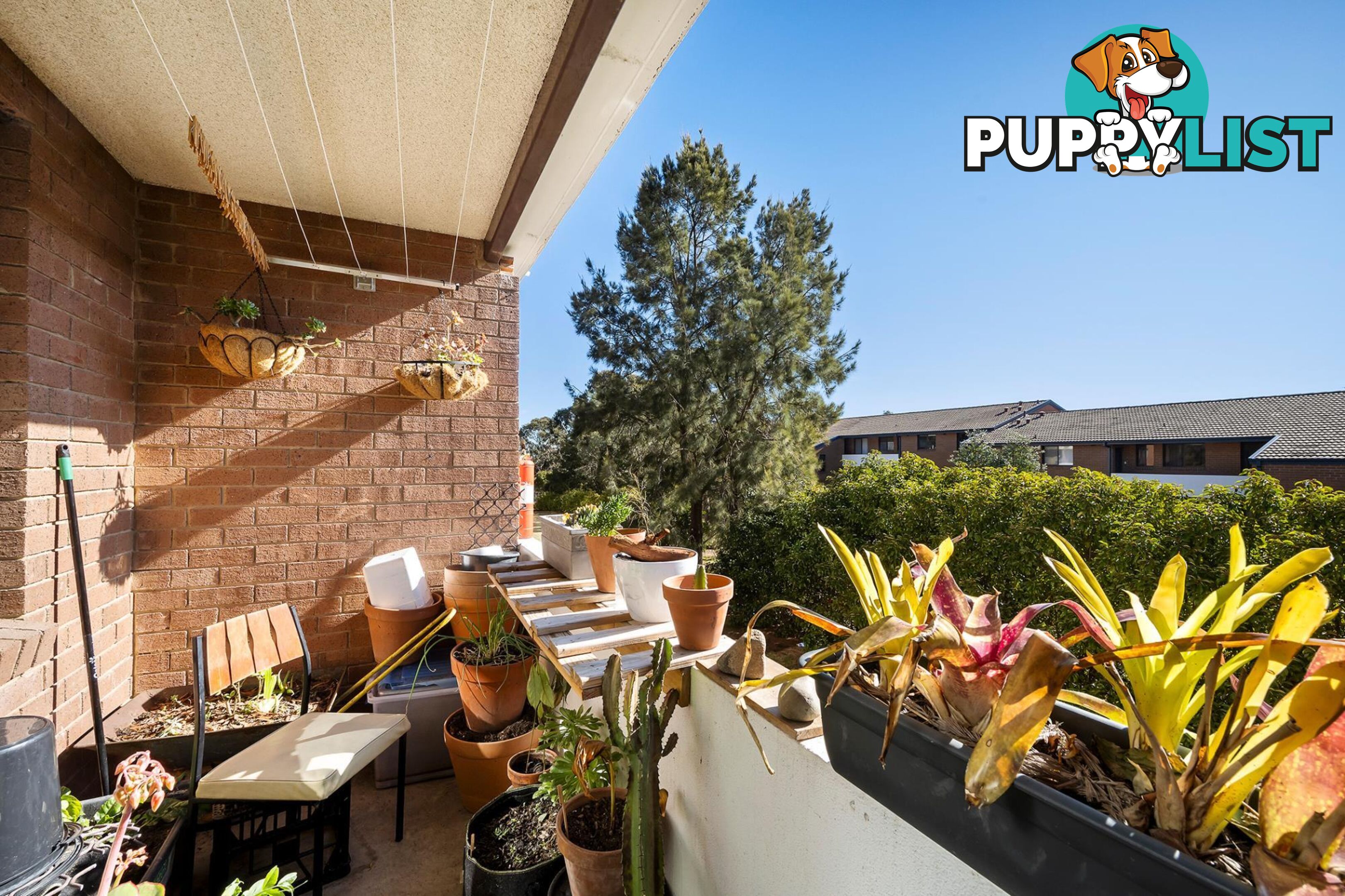 21/153 Murranji Street HAWKER ACT 2614