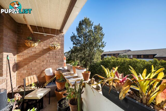 21/153 Murranji Street HAWKER ACT 2614