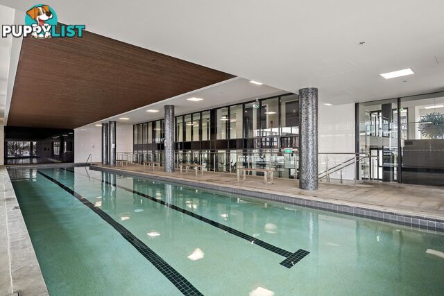 78/1 Mouat Street LYNEHAM ACT 2602
