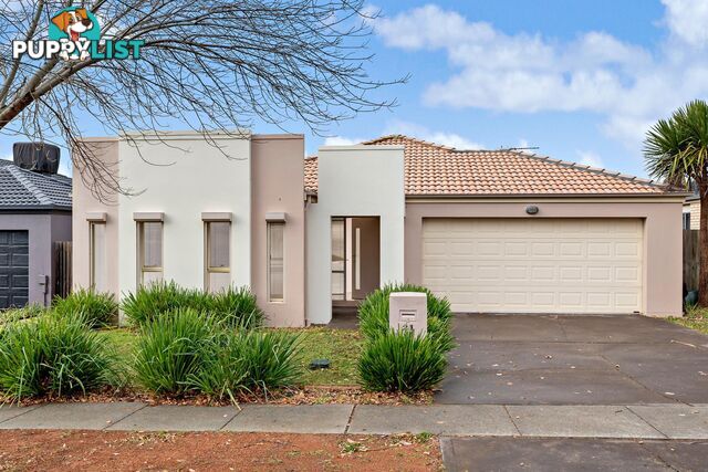 21 Petersilka Street GUNGAHLIN ACT 2912