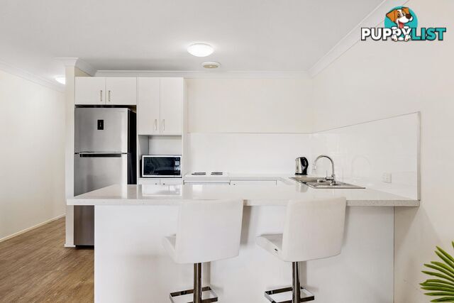 51 Byron Court PHILLIP ACT 2606