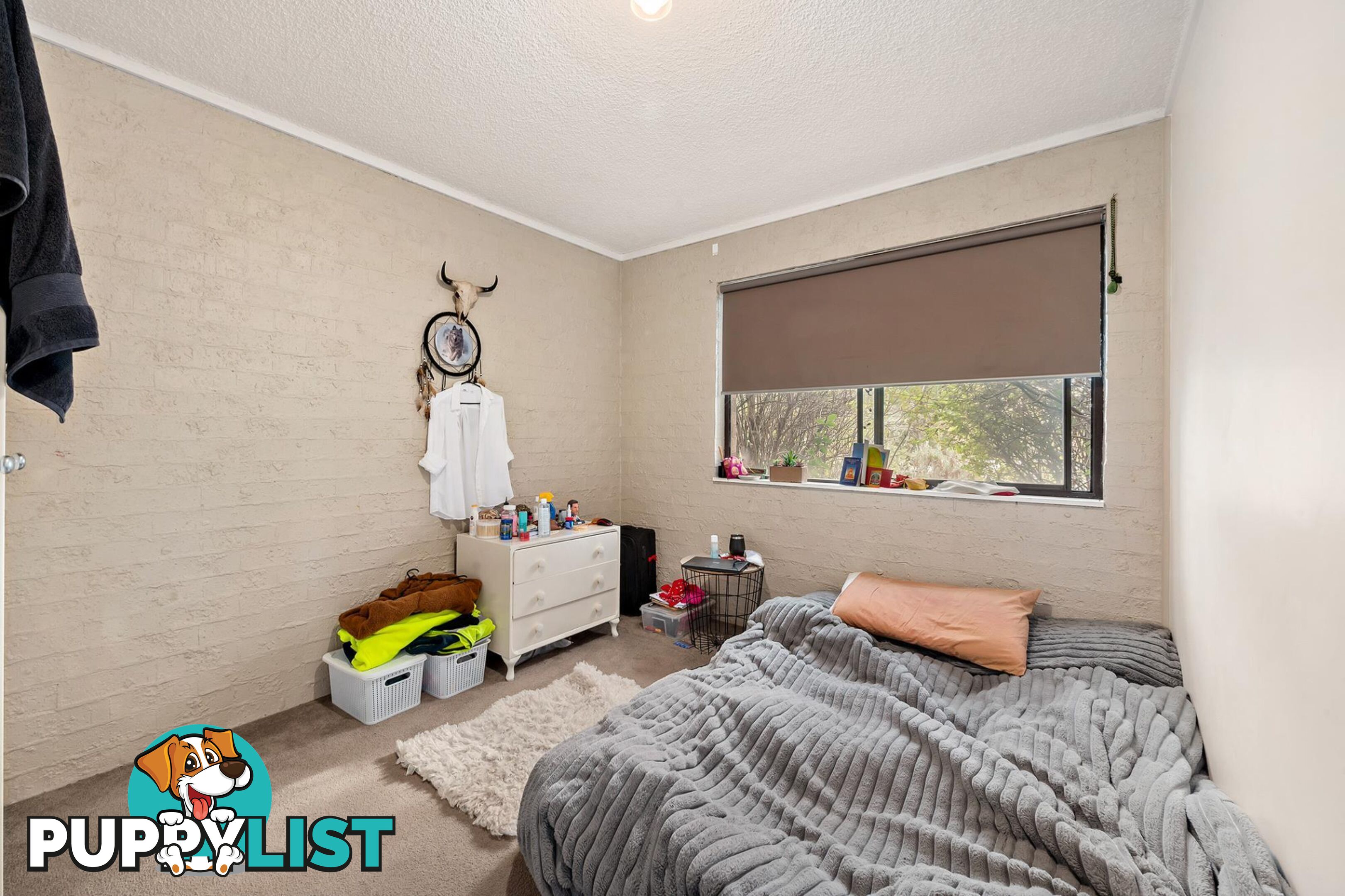 13/48 Dalley Crescent LATHAM ACT 2615