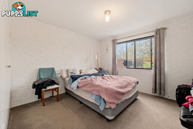 13/48 Dalley Crescent LATHAM ACT 2615