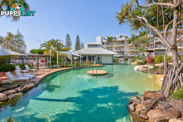 355 180 Alexandra Parade ALEXANDRA HEADLAND QLD 4572