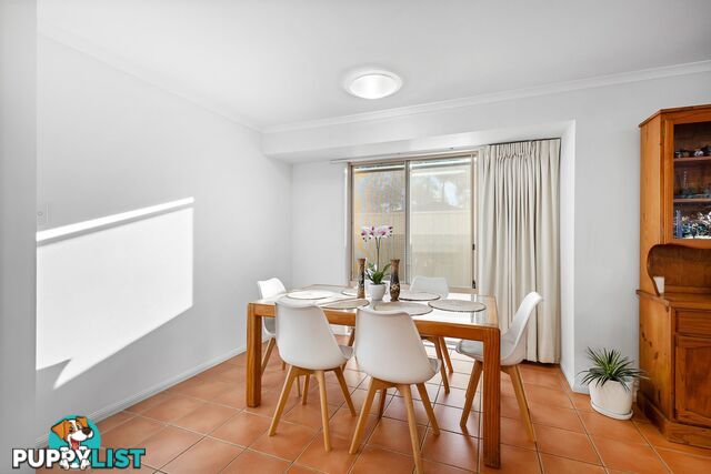 31 Cranfield Drive BUDERIM QLD 4556