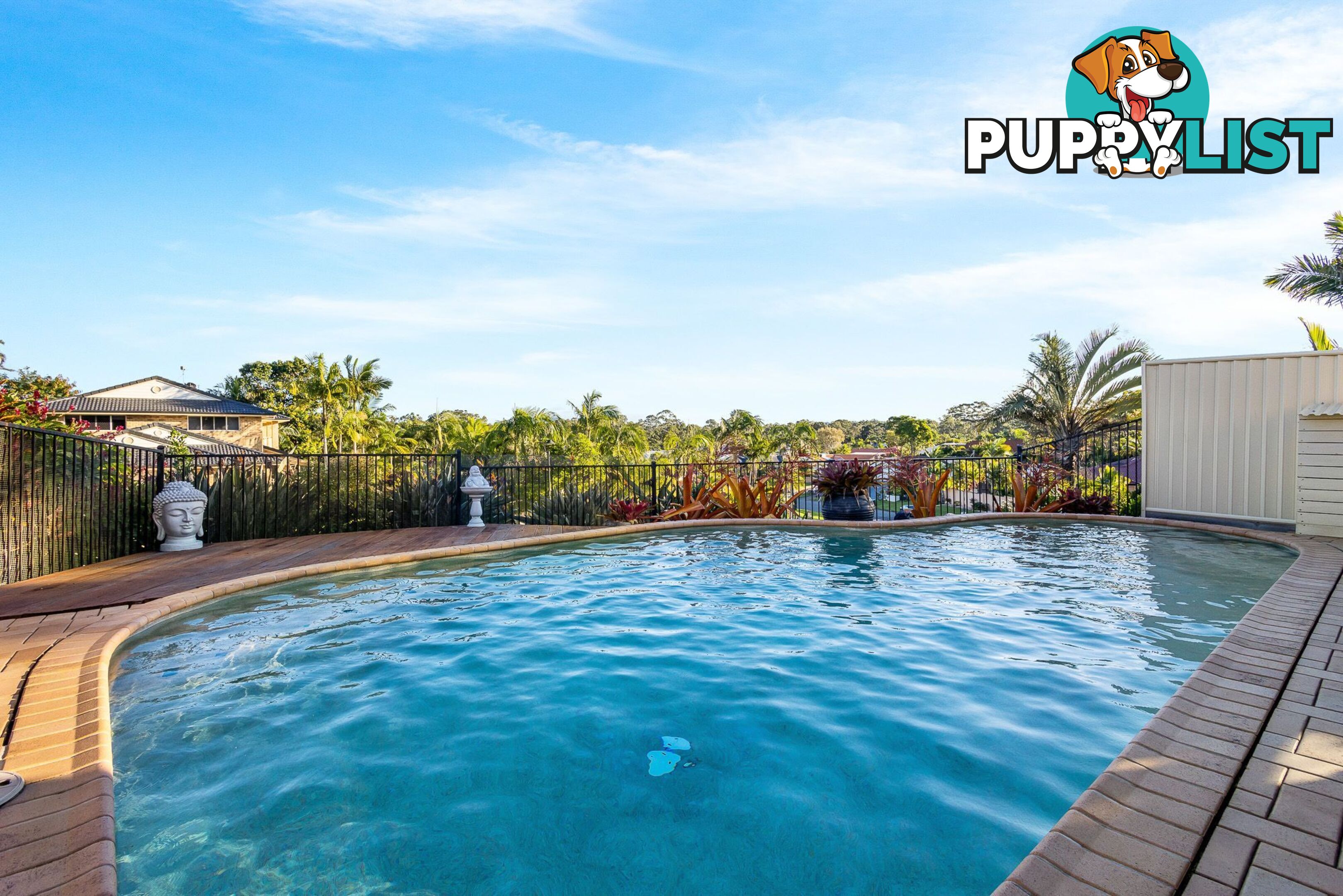 31 Cranfield Drive BUDERIM QLD 4556