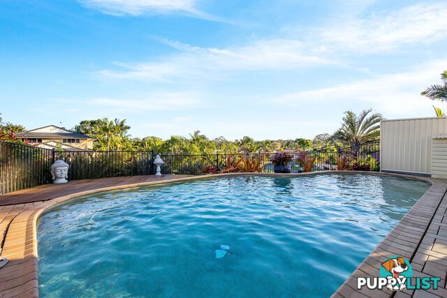 31 Cranfield Drive BUDERIM QLD 4556