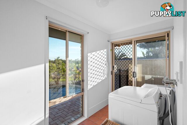 31 Cranfield Drive BUDERIM QLD 4556