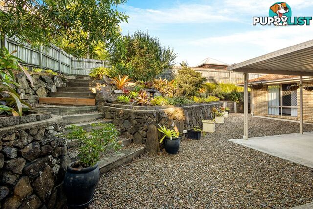 31 Cranfield Drive BUDERIM QLD 4556