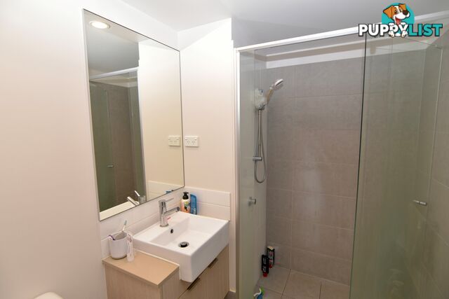 3 10 Pikki Street MAROOCHYDORE QLD 4558