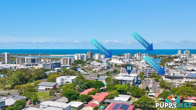 3 10 Pikki Street MAROOCHYDORE QLD 4558