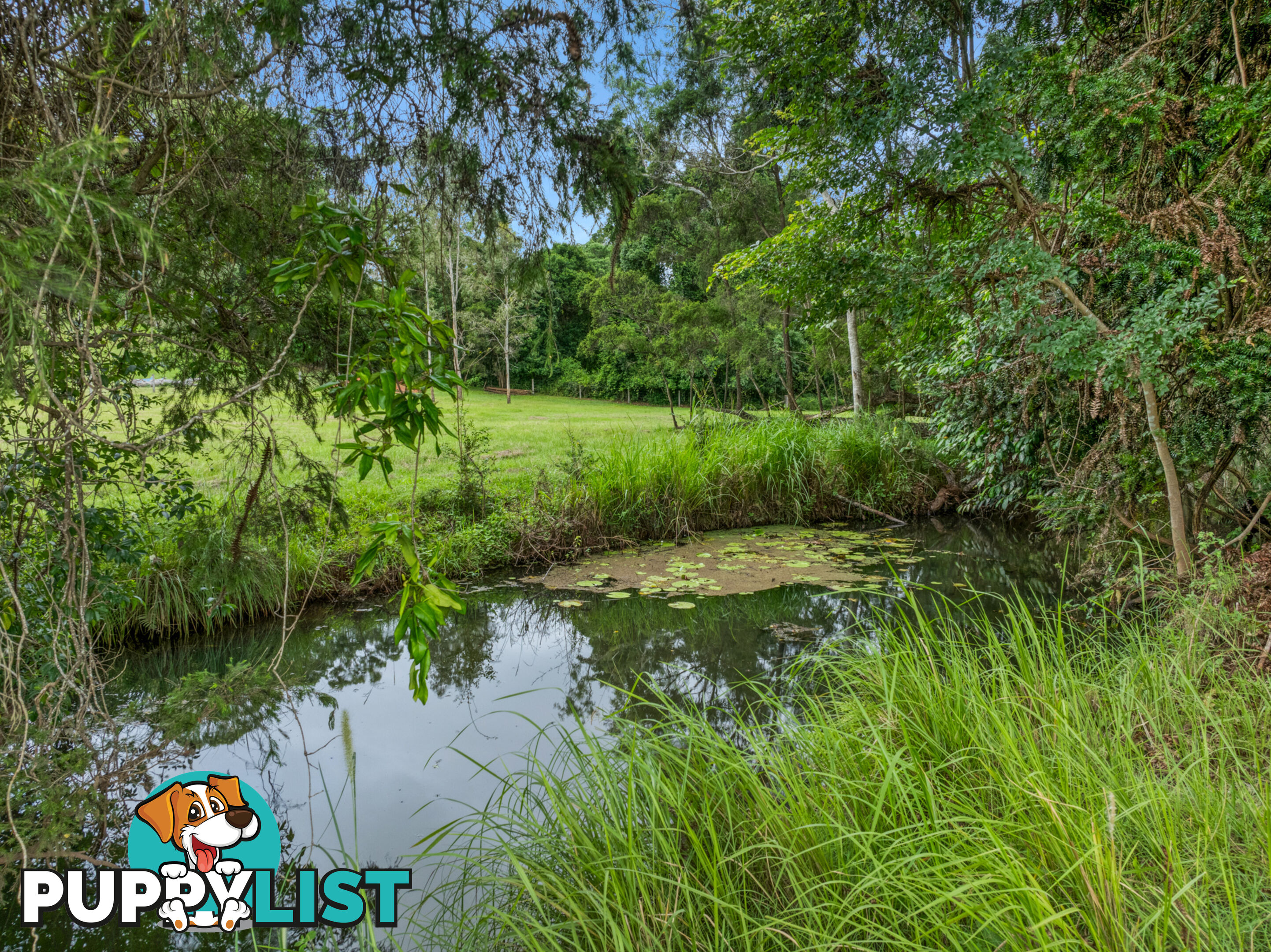 68 Hutchins Road AMAMOOR QLD 4570